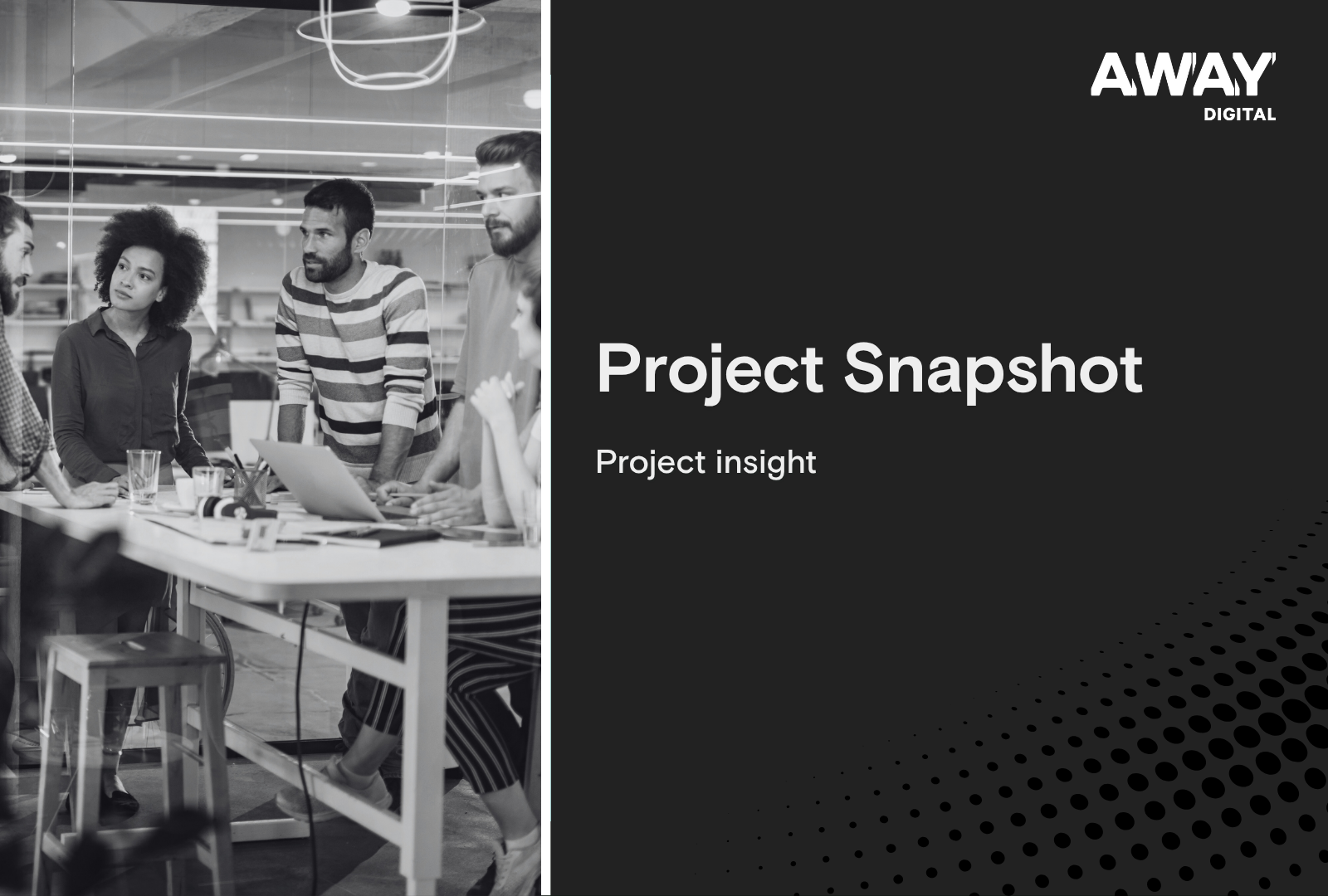 Project snapshot